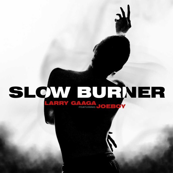 Larry Gaaga – Slow Burner ft. Joeboy