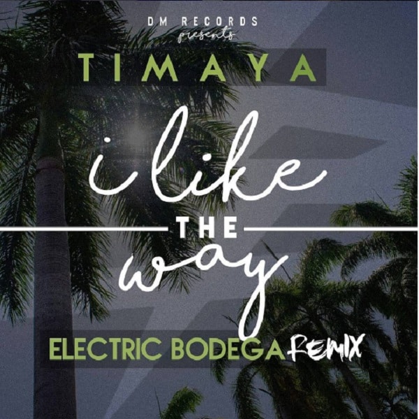 Timaya – I Like The Way (Electric Bodega Remix)